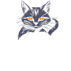 Schwarze Katze mit Kürbis - Halloween Design
