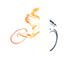Mountainbike Fahrtechnik Kunst