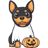 Dobermann Hund Halloween Comic Geist