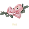 Équipe Bride