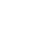 2029