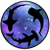 Sharks Universe