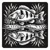 Perche, poisson, ange