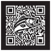 Barsch QR Code Design
