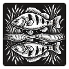Perche, poisson, ange