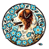 Australian Shephard