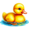 Duckling Duck Duck Duck