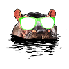 DAS Hippo
