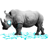 DAS Rhino