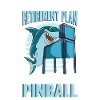 Pinball machine pinball machine