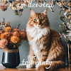 I am devoted to beauty