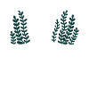 Passionné d’aquascaping Jardinage sous-marin