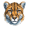 Cheetah Gepard