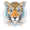 Cheetah Gepard