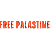 palastine tshirt