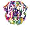 St. Bernard Dog Popart