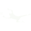 torwart