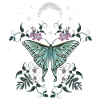 Butterfly green at night