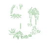 Macramé et plantes
