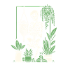 Macrame and plants