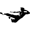 bruce lee