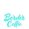 Cadeaux Border Collie