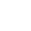 Cadeaux Border Collie