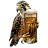 Falcon