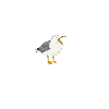 Seagull Heart Rate ECG