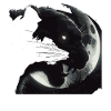 head in the moonlight