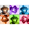 Monkeys World