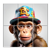 Singe X