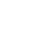 Spirit