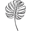 line art monstera leaf