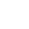 Crazy funny bird group