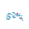 Nur Noch Ein Delfin Versprochen