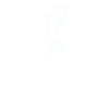 Peace Dear Dolphins
