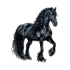 friesian horse