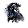 friesian horse