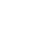 Wittgenstein