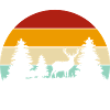 Wittgenstein