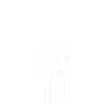 Lung Cancer Survivor Lung