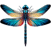 Libellule
