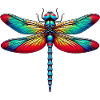 Libellule