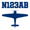Custom Aviation - Airplane - Flying - Pilot