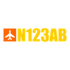 Custom Aviation - Airplane - Flying - Pilot