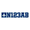 Custom Aviation - Airplane - Flying - Pilot