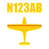 Custom Aviation - Airplane - Flying - Pilot