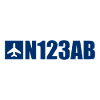 Custom Aviation - Airplane - Flying - Pilot