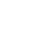 Custom Aviation - Flugzeug - Luffahrt - Pilot